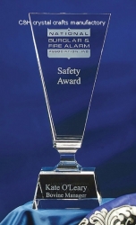 crystal trophy and award