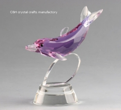 crystal dolphin model