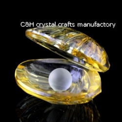 crystal shell gift