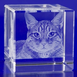 crystal cube with 3d logo